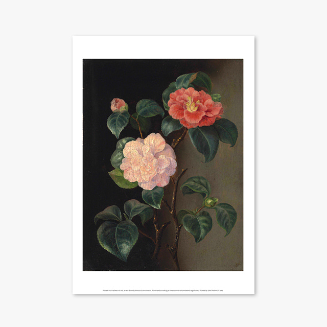 (플라워 아트 포스터) Flower Series ART Poster_1005