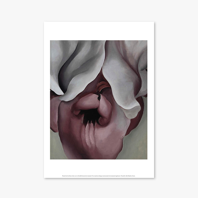 (플라워 아트 포스터) Flower Series ART Poster_1053