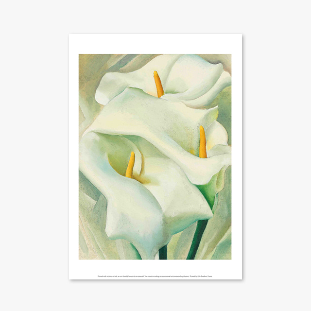 (플라워 아트 포스터) Flower Series ART Poster_1062