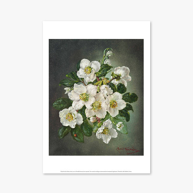 (플라워 아트 포스터) Flower Series ART Poster_1075