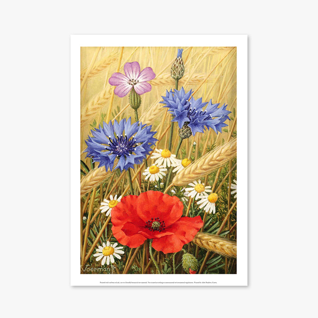 (플라워 아트 포스터) Flower Series ART Poster_1082