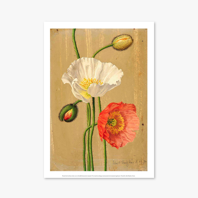 (플라워 아트 포스터) Flower Series ART Poster_1119