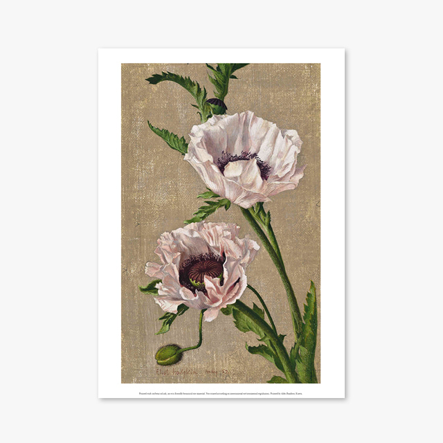 (플라워 아트 포스터) Flower Series ART Poster_1159