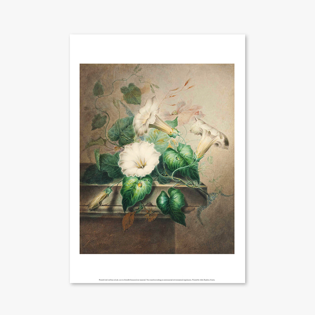 (플라워 아트 포스터) Flower Series ART Poster_1242
