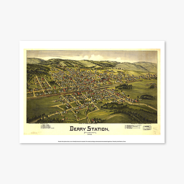 308_Vintage Art Posters_Derry_Station_1900_BEye_View (빈티지 아트 포스터)