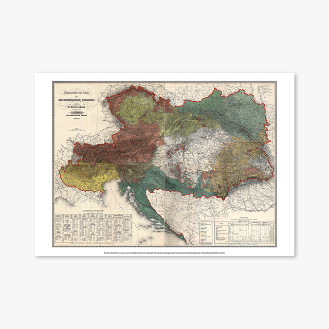 864_Vintage Art Posters_Ethnographic_map_of_austrian_monarchy_czoernig_1855 (빈티지 아트 포스터)